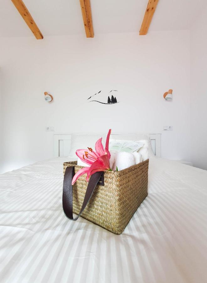 Domeniul Acasa In Vadu Izei Maramu Hotel Luaran gambar